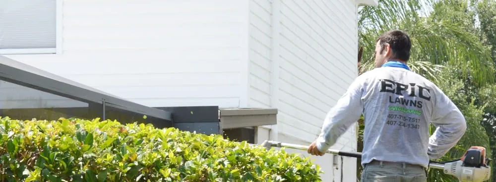 Local landscape installation in Orlando, FL - Epic Lawns