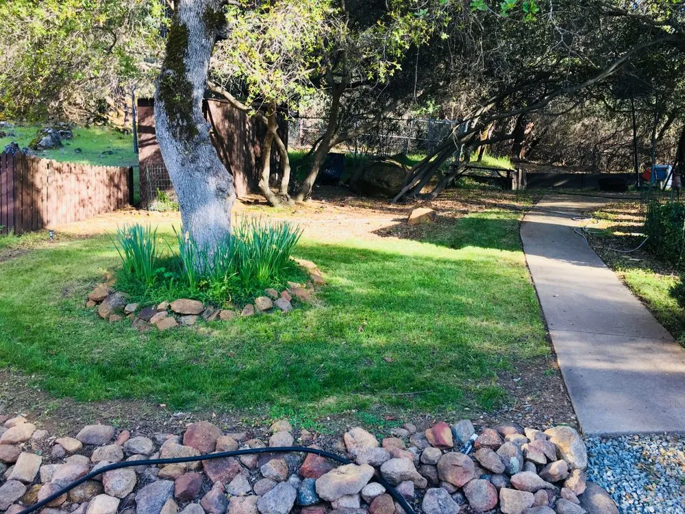 Top-rated yard cleanup service experts serving Nevada City, CA - Epic One Landscape & Labor