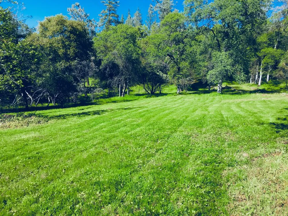 Top-rated yard cleanup service in Nevada City, CA - Epic One Landscape & Labor