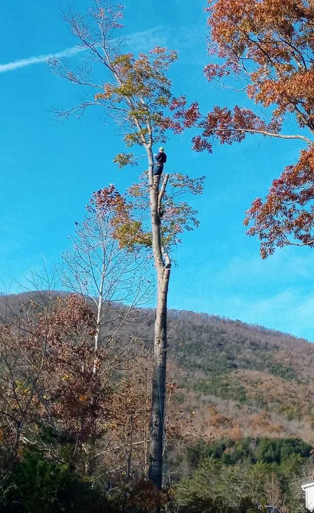 Trusted landscape design in Roanoke, VA - Epic Tree Service & Lawn Care