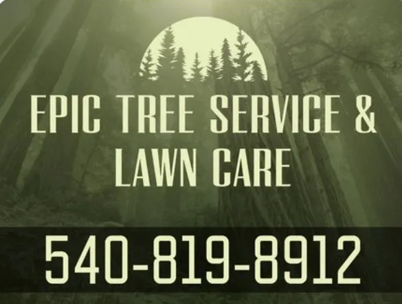 Trusted yard cleanup service near you in Roanoke, VA by Epic Tree Service & Lawn Care