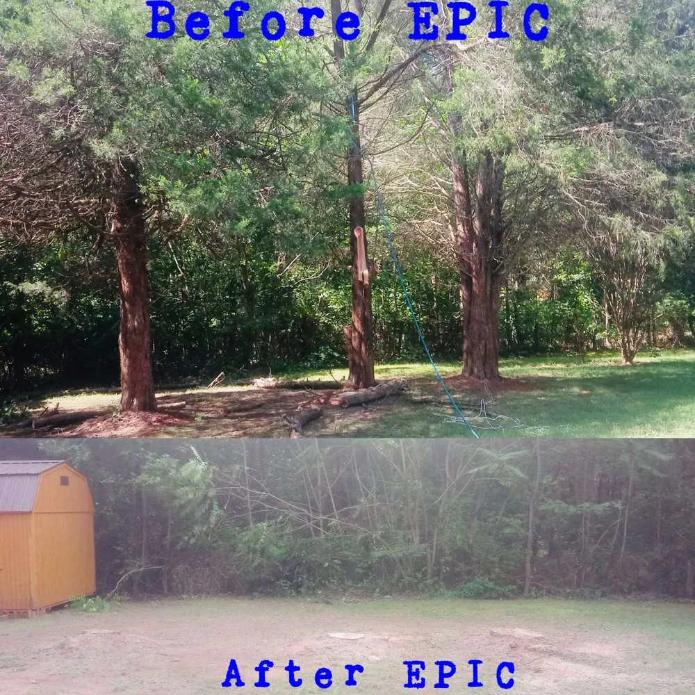 Local yard maintenance in Roanoke, VA - Epic Tree Service & Lawn Care
