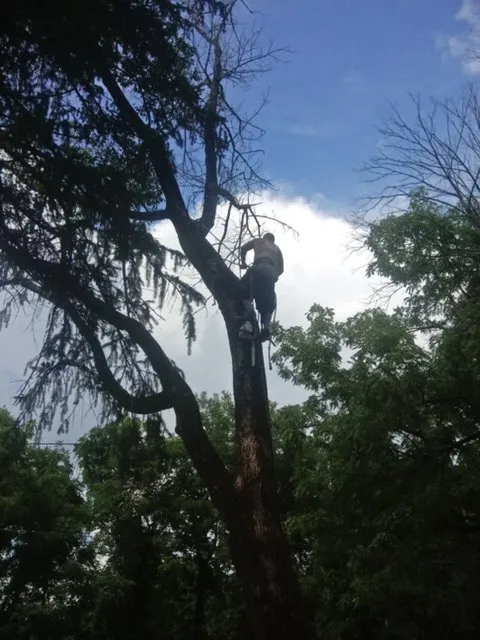 Affordable lawn mowing service for beautiful yards in Roanoke, VA by Epic Tree Service & Lawn Care