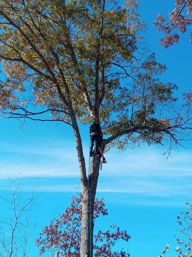 Local garden landscaping with custom design across Roanoke, VA - Epic Tree Service & Lawn Care