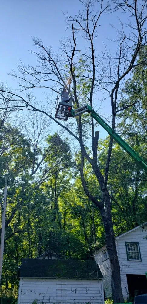 Local landscape installation in Roanoke, VA by Epic Tree Service & Lawn Care