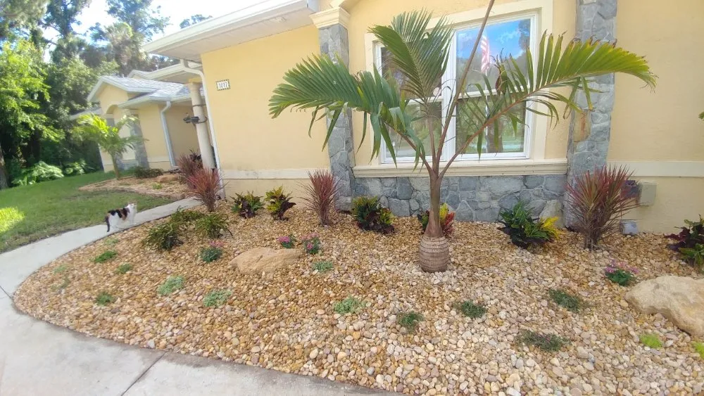 Affordable lawn care service in Melbourne, FL by Epic Vine Design