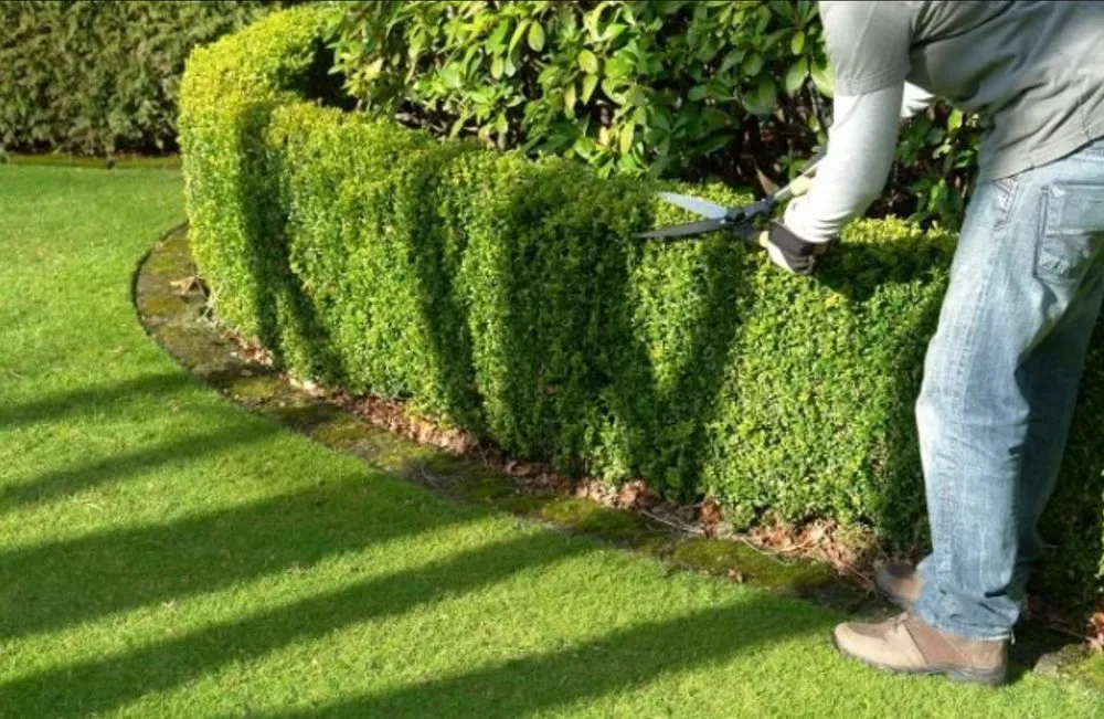Trusted residential landscaping experts serving Marin County, CA - Epic Yardscapes