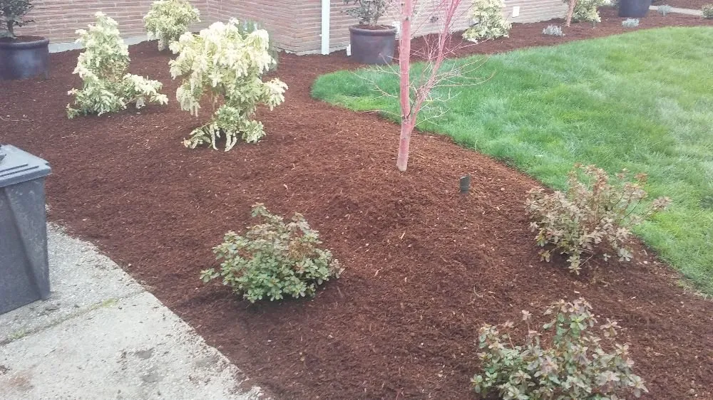 Professional lawn care service with custom design across Norman, OK - Epik Landscapes and Irrigation