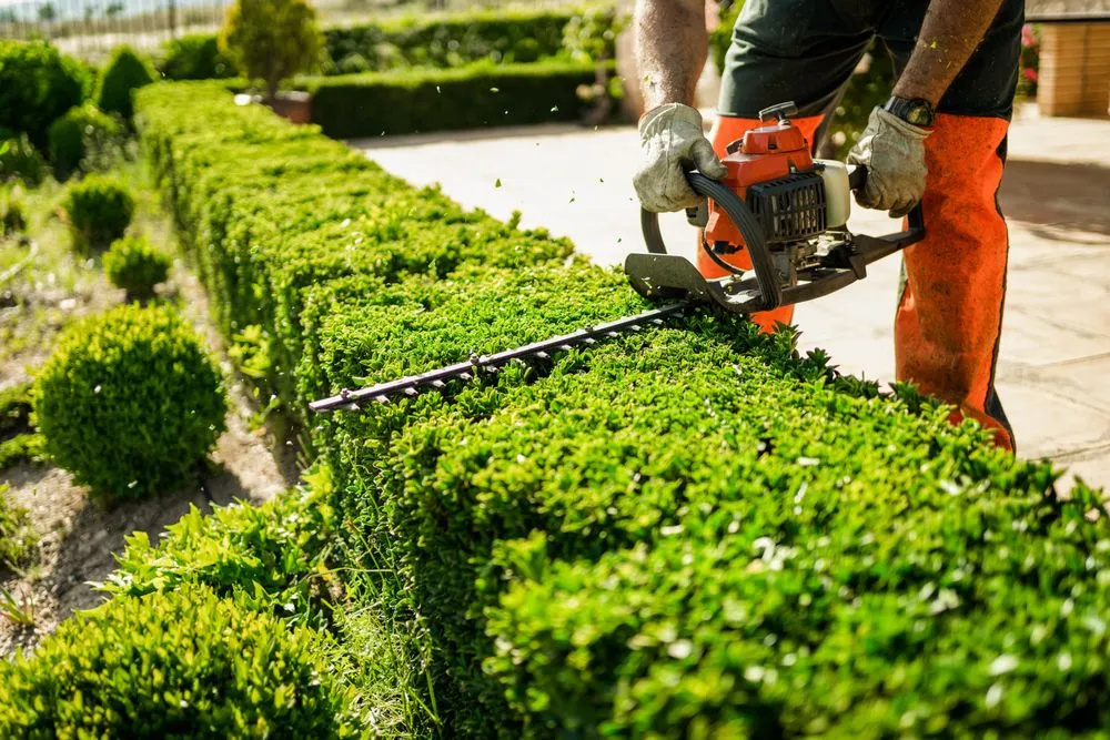Local lawn mowing service in Addison, TX - Epiphany Lawn and Garden