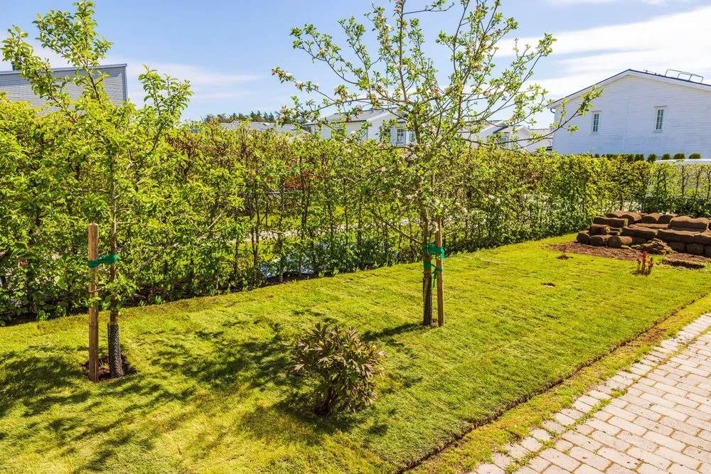 Expert landscape design in Addison, TX by Epiphany Lawn and Garden