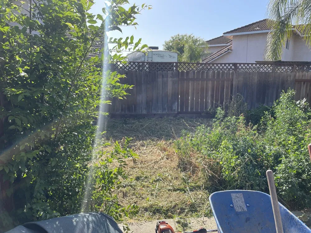 Affordable landscape installation with custom design in Modesto, CA by Epi’s Gardening & Maintenance