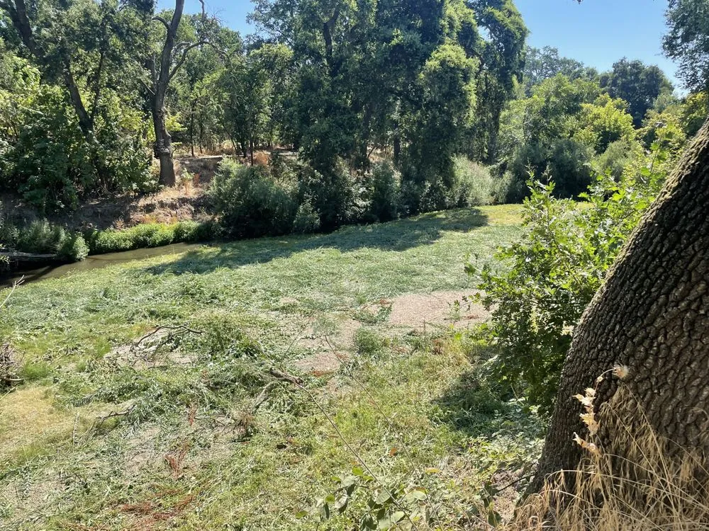 Affordable lawn mowing service in Modesto, CA - Epi’s Gardening & Maintenance