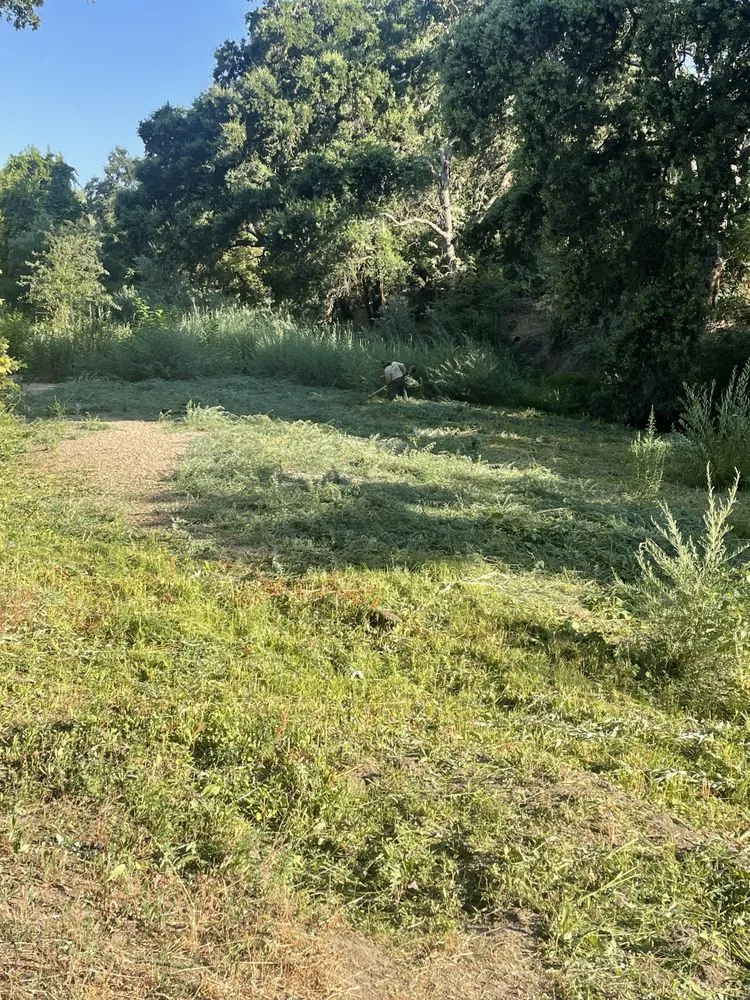 Top-rated outdoor landscaping near you across Modesto, CA - Epi’s Gardening & Maintenance