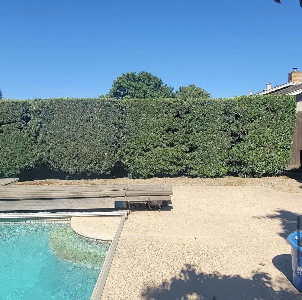 Reliable lawn care service in Modesto, CA by Epi’s Gardening & Maintenance