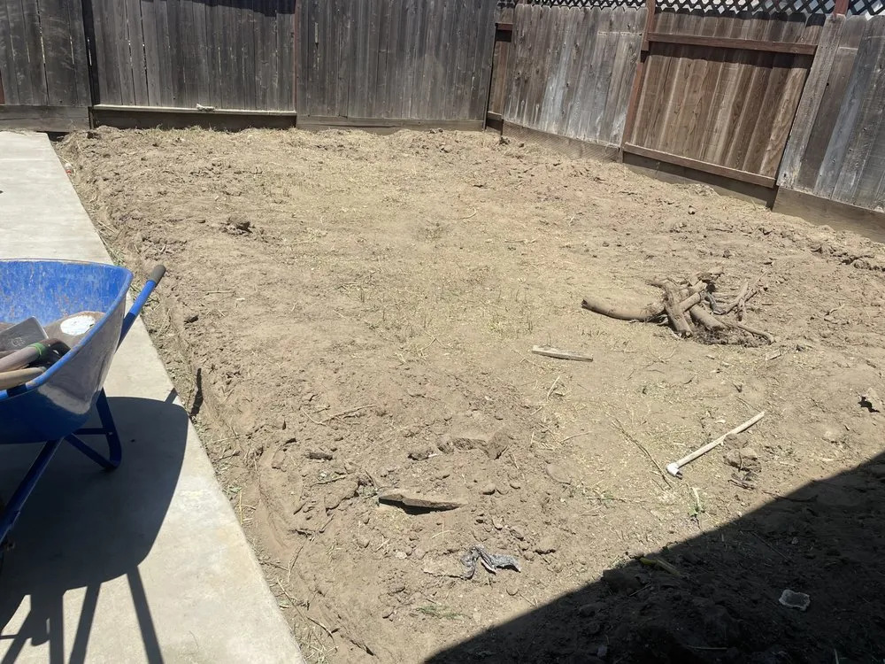 Top-rated yard maintenance experts serving Modesto, CA - Epi’s Gardening & Maintenance