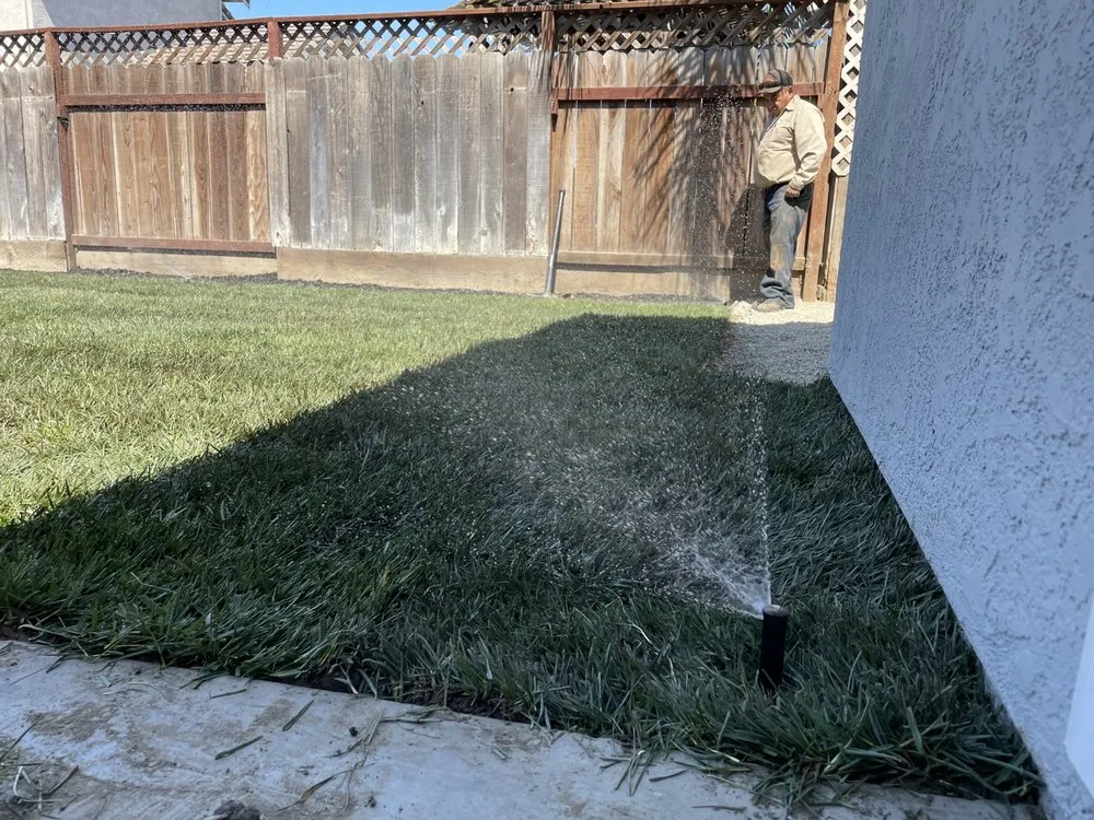 Reliable yard cleanup service for beautiful yards in Modesto, CA by Epi’s Gardening & Maintenance