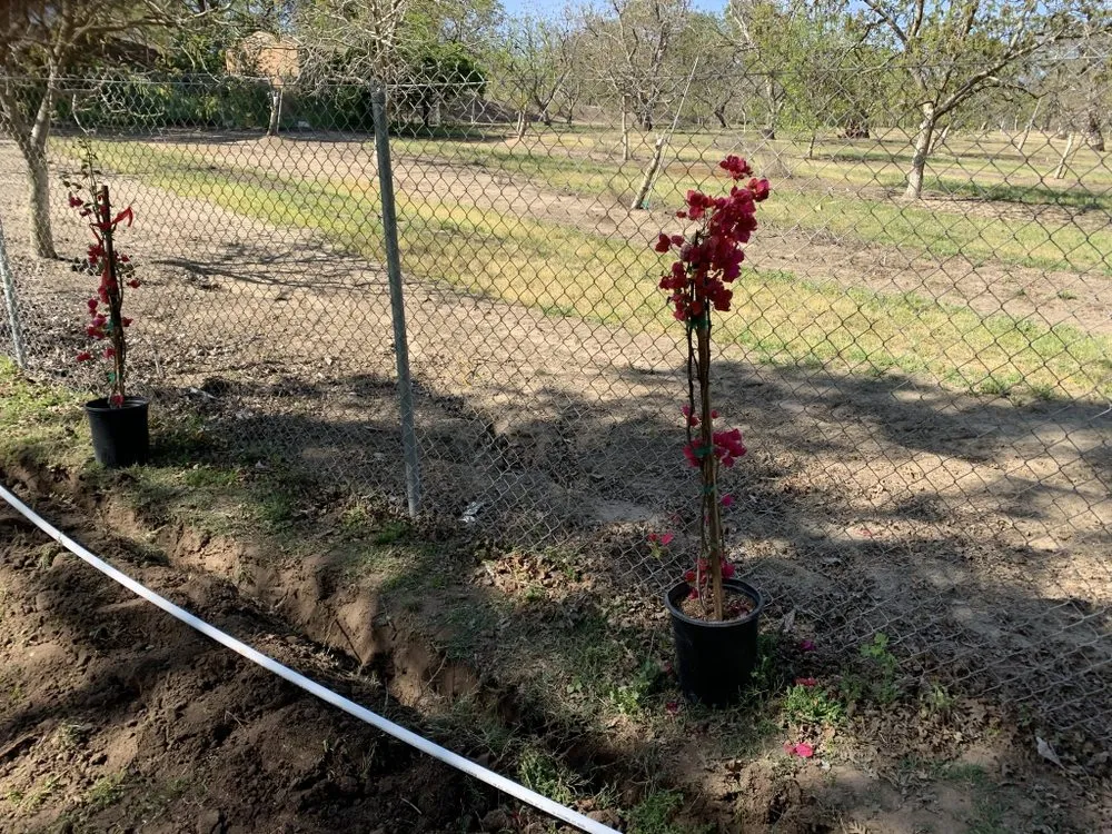 Top-rated landscape installation in Modesto, CA - Epi’s Gardening & Maintenance