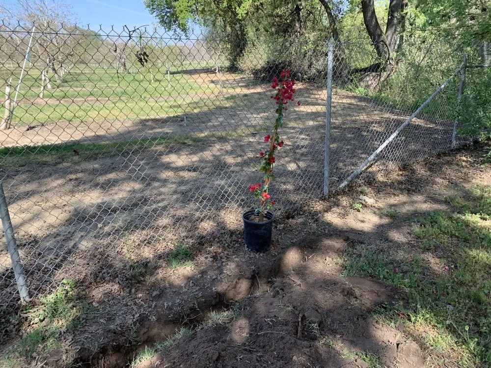 Affordable lawn mowing service in Modesto, CA by Epi’s Gardening & Maintenance