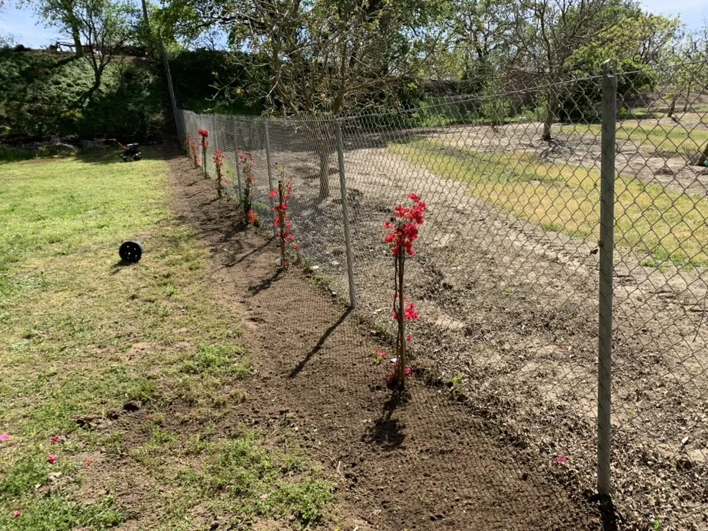Trusted residential landscaping for outdoor upgrades in Modesto, CA by Epi’s Gardening & Maintenance