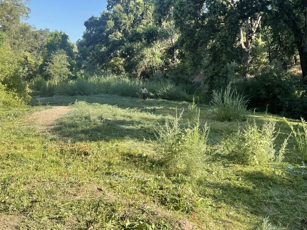 Reliable lawn care service in Modesto, CA by Epi’s Gardening & Maintenance