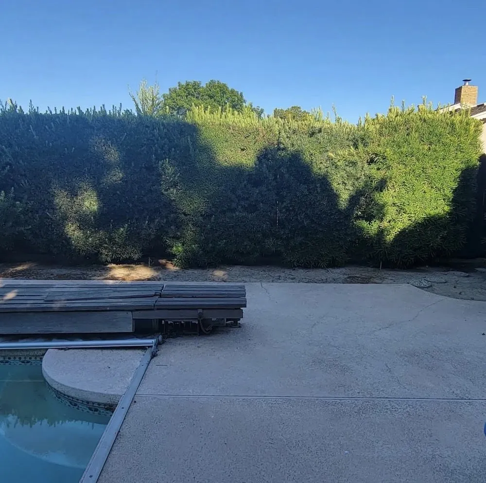 Top-rated landscaping services in Modesto, CA - Epi’s Gardening & Maintenance