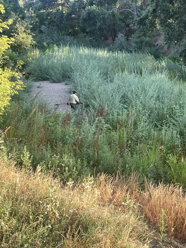 Reliable outdoor landscaping in Modesto, CA - Epi’s Gardening & Maintenance