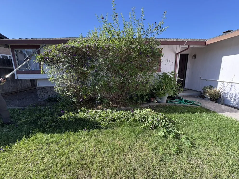 Affordable outdoor landscaping experts serving Modesto, CA - Epi’s Landscaping And Maintenance