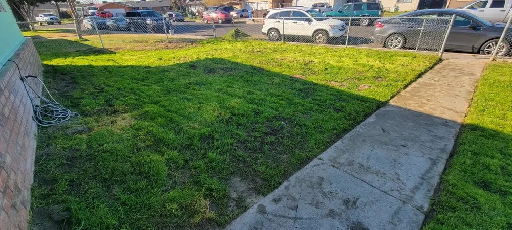 Reliable landscaping services for year-round maintenance across Modesto, CA - Epi’s Landscaping And Maintenance