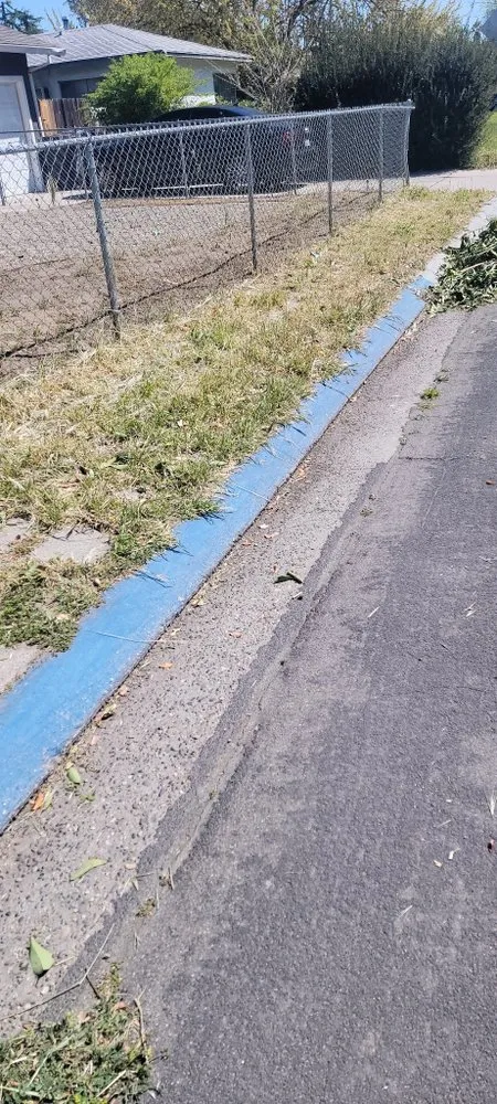 Top-rated yard cleanup service in Modesto, CA - Epi’s Landscaping And Maintenance