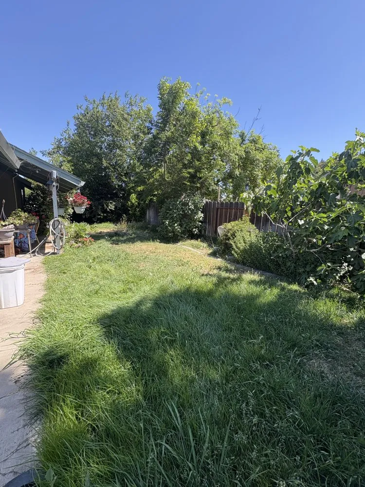 Local yard cleanup service for outdoor upgrades across Modesto, CA - Epi’s Landscaping And Maintenance