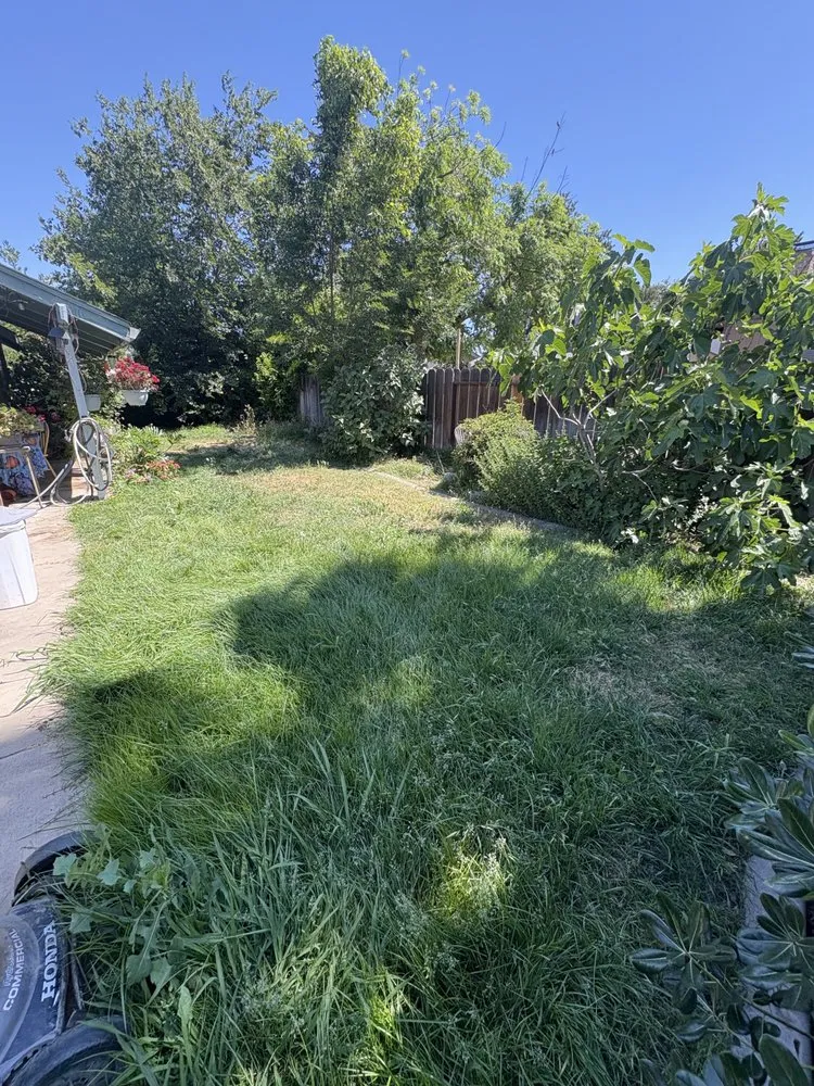 Expert landscape design in Modesto, CA - Epi’s Landscaping And Maintenance