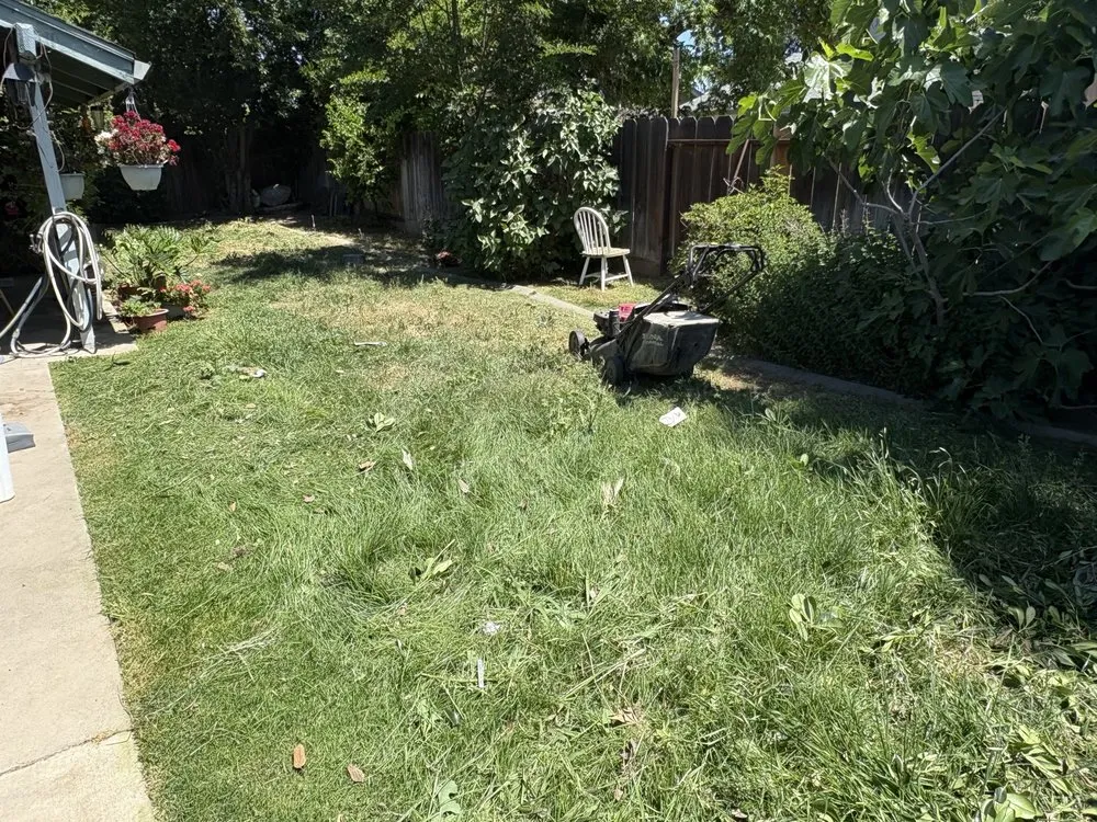 Trusted yard cleanup service for outdoor upgrades across Modesto, CA - Epi’s Landscaping And Maintenance