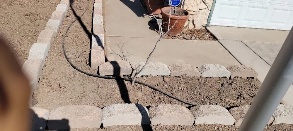 Local yard cleanup service in Modesto, CA - Epi’s Landscaping And Maintenance