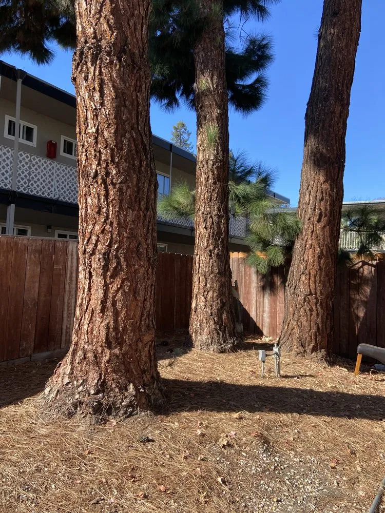 Reliable landscaping services in Lathrop, CA by EPL Landscaping
