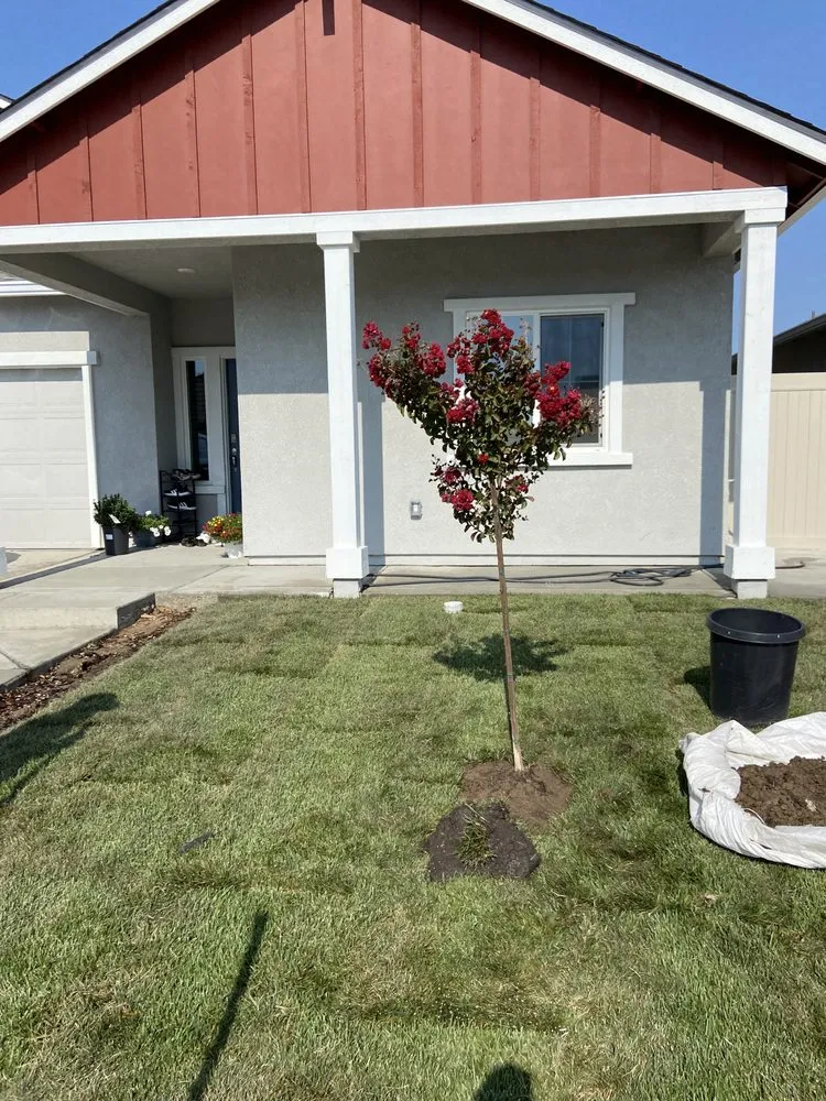 Expert outdoor landscaping in Lathrop, CA by EPL Landscaping