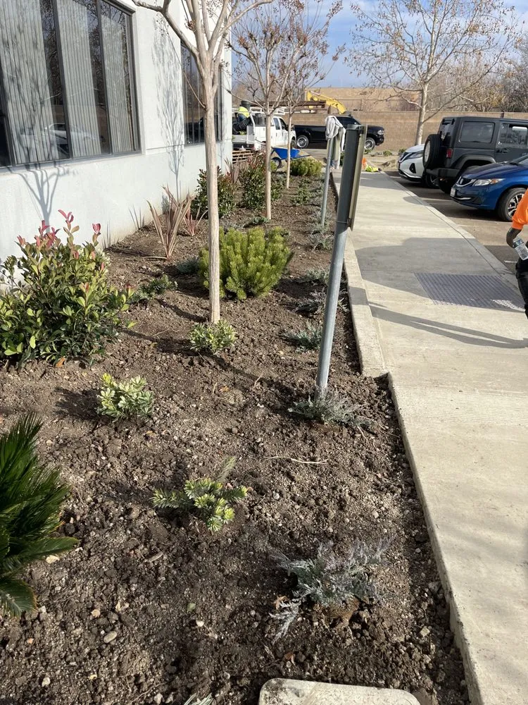 Local yard maintenance with custom design in Lathrop, CA by EPL Landscaping