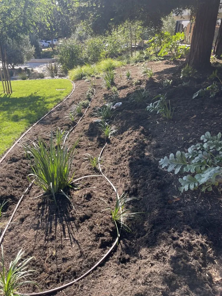 Local landscaping services in Lathrop, CA by EPL Landscaping