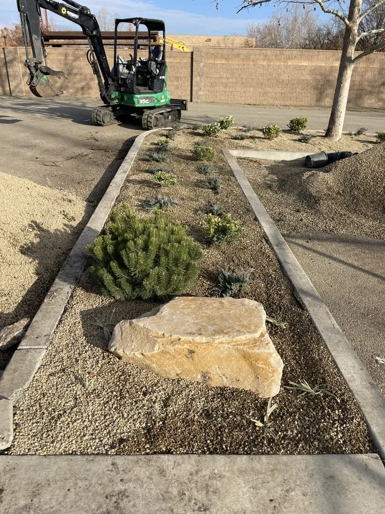 Professional yard maintenance in Lathrop, CA - EPL Landscaping