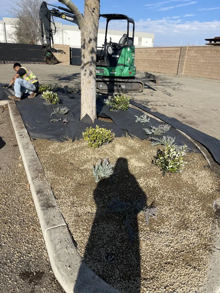 Reliable lawn care service for beautiful yards across Lathrop, CA - EPL Landscaping
