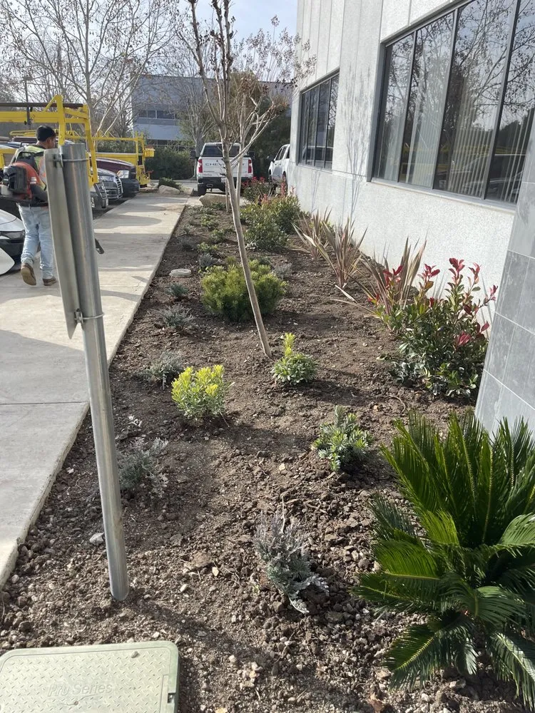 Custom yard cleanup service in Lathrop, CA by EPL Landscaping