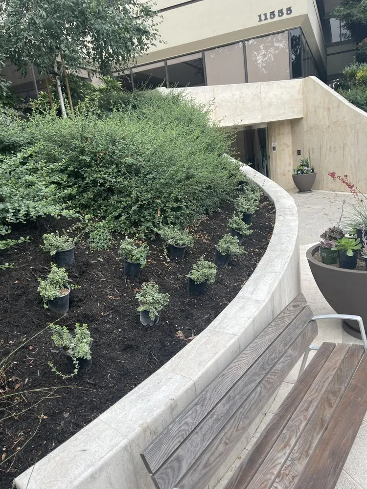 Expert lawn mowing service near you in Lathrop, CA by EPL Landscaping