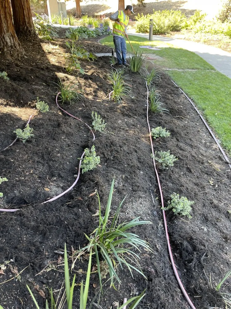 Affordable landscaping services in Lathrop, CA - EPL Landscaping