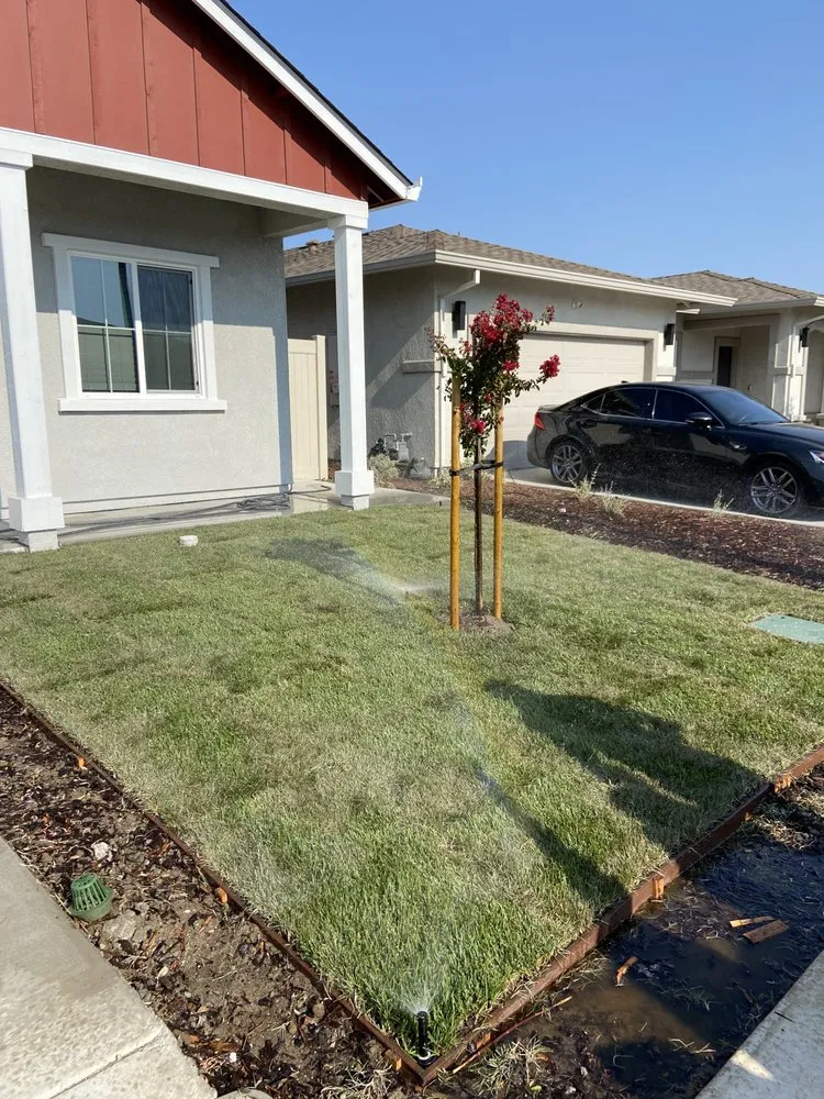Professional landscape installation with custom design in Lathrop, CA by EPL Landscaping