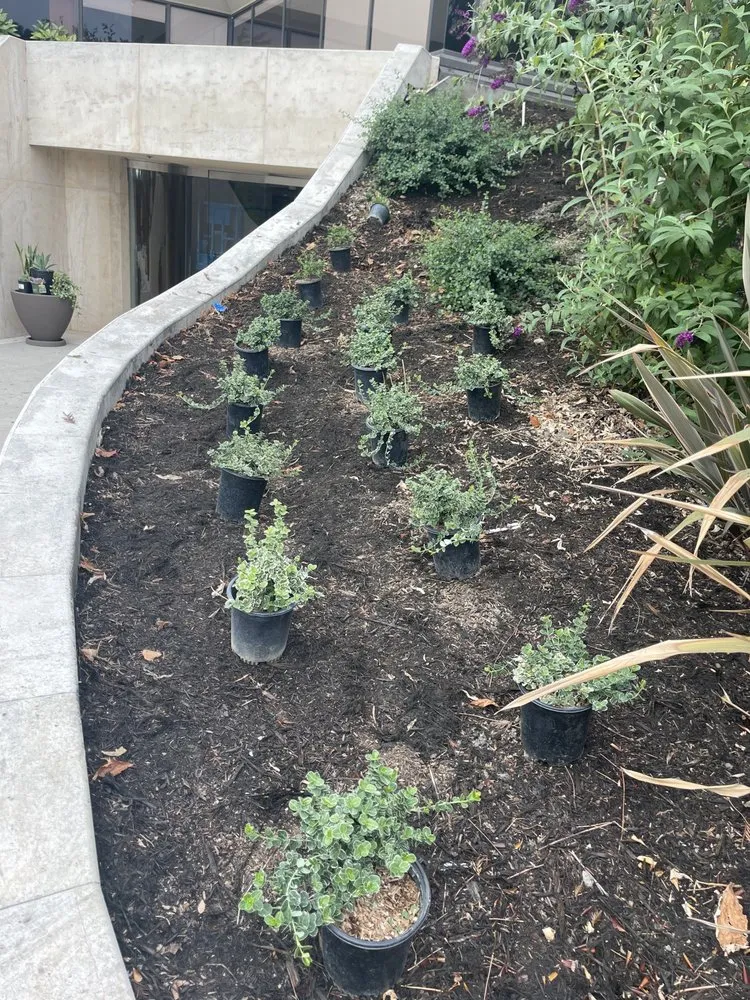 Expert yard maintenance experts serving Lathrop, CA - EPL Landscaping