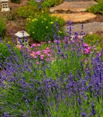 Professional residential landscaping for residential properties in Bluemont, VA by Epling Landscaping & Lawn Service, Inc.