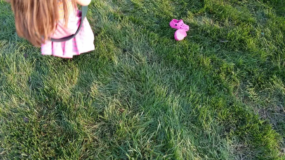 Reliable garden landscaping in Bluemont, VA - Epling Landscaping & Lawn Service, Inc.