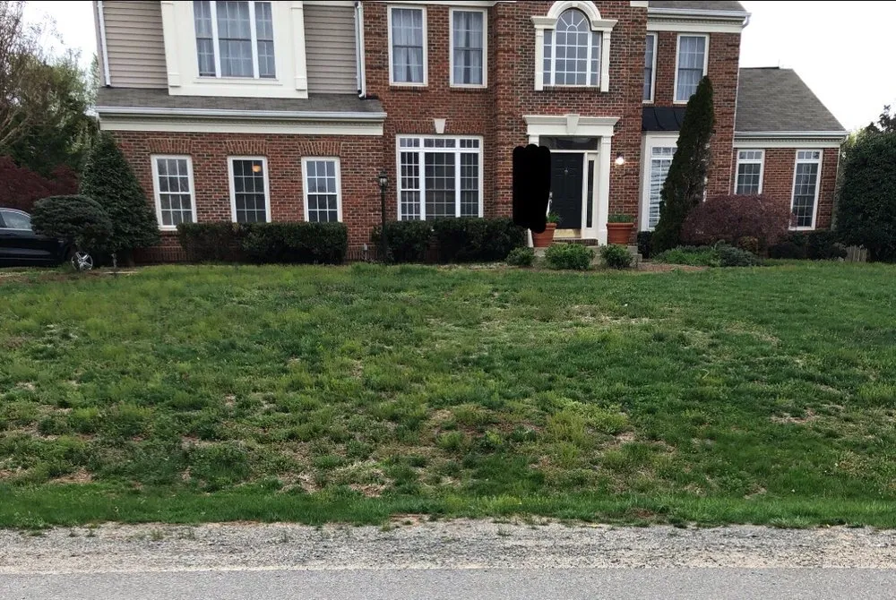 Expert yard maintenance in Bluemont, VA by Epling Landscaping & Lawn Service, Inc.