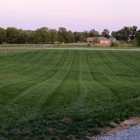 Custom yard cleanup service for year-round maintenance across Fairfield, IL - EPM Lawn Care Dewey Eckleberry