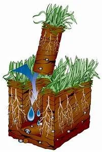 Professional lawn mowing service for homes in Fairfield, IL by EPM Lawn Care Dewey Eckleberry