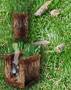 Affordable yard maintenance in Fairfield, IL - EPM Lawn Care Dewey Eckleberry